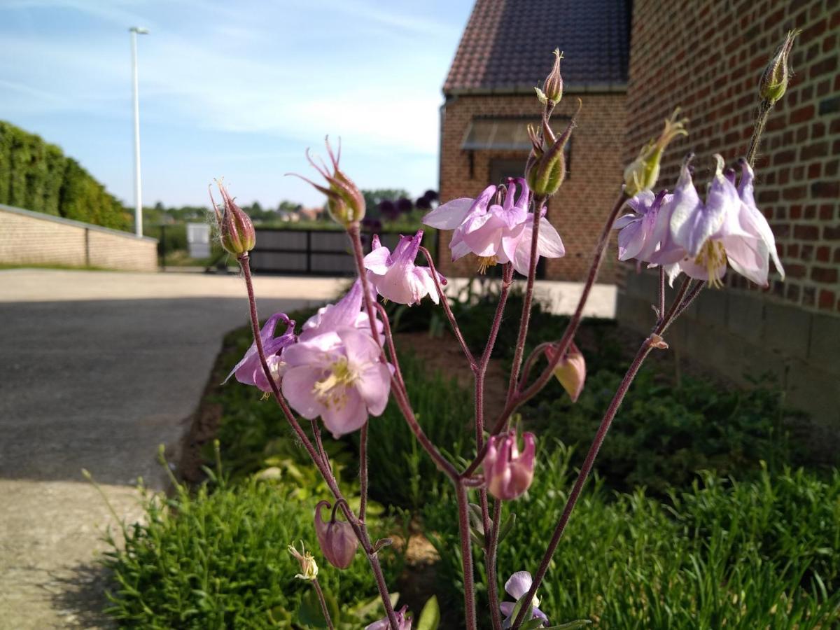 Vakantiewoning Mierzicht Met Prive Wellness Haspengouw Boekhout Exteriér fotografie